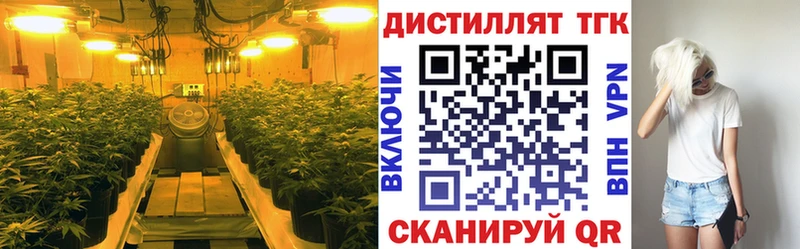 ТГК гашишное масло  darknet клад  Дагестанские Огни 