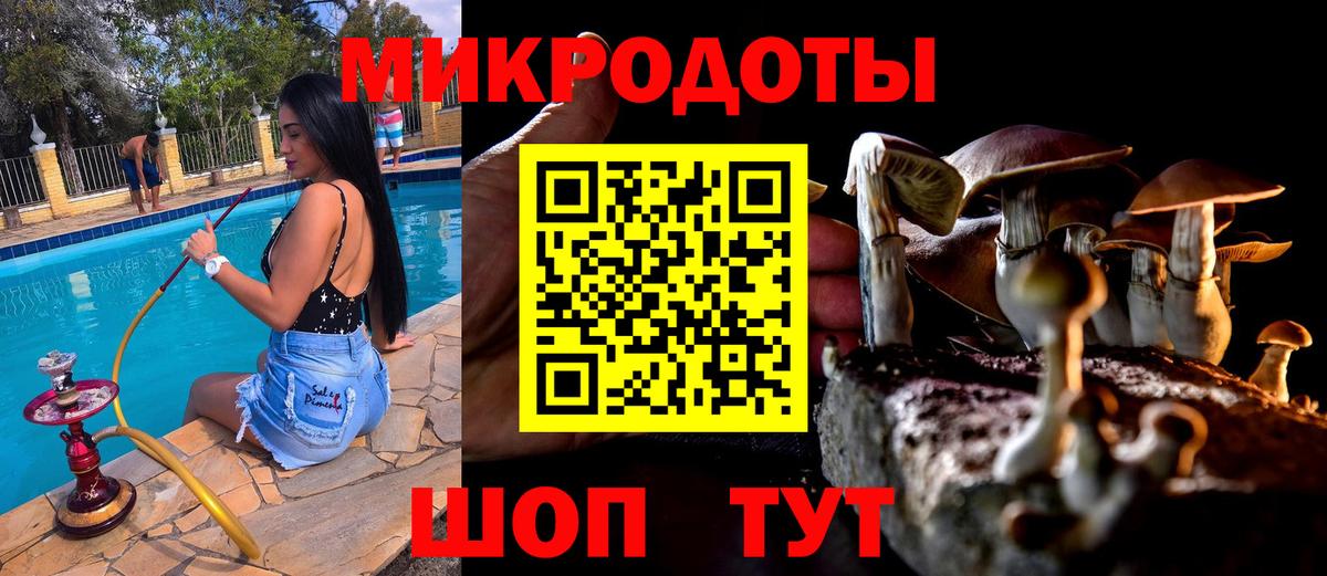 Псилоцибиновые грибы прущие грибы  где найти наркотики  Дагестанские Огни  Вход с VPN 
